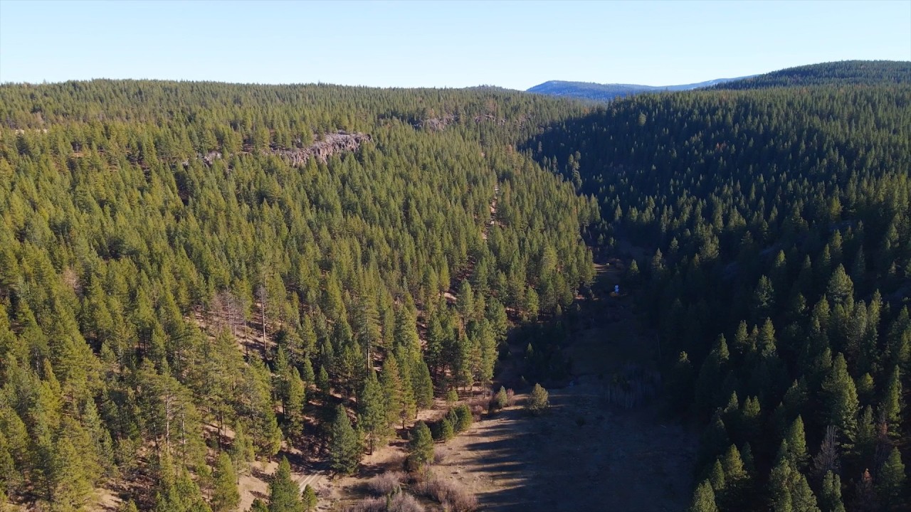 Fly Fishing for Goose Lake Redband Trout (California Heritage Trout Challenge)