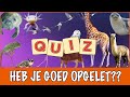 DE GROTE DIERENPRAAT QUIZ + winactie | DierenpraatTV
