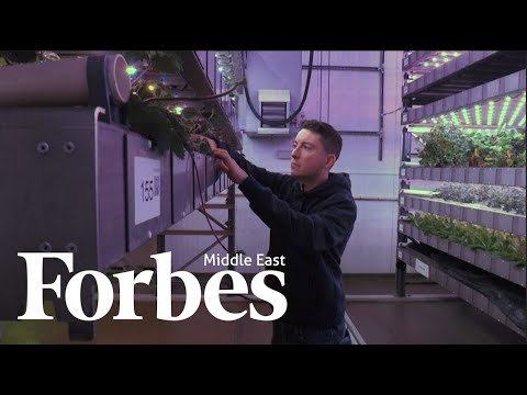 Could Vertical Farming Be The Answer To Food Security?