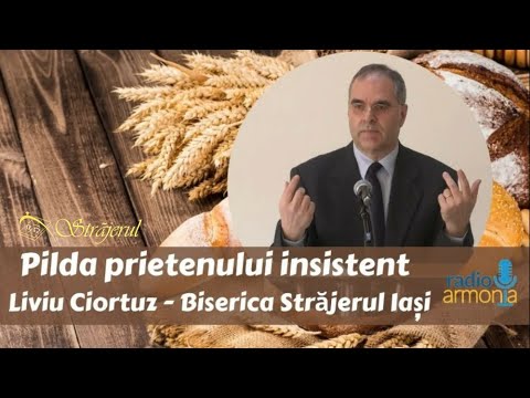 Prietenul Ce Cere Ajutor Noaptea - Liviu Ciortuz