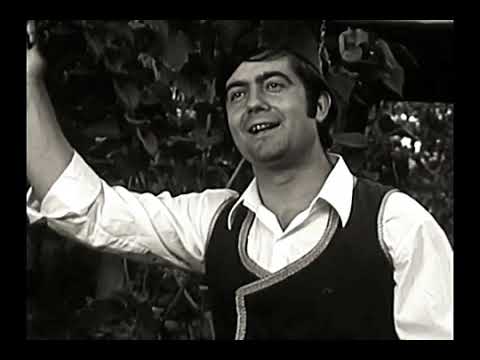 Станиша Стошић - Милкано, дадо мори