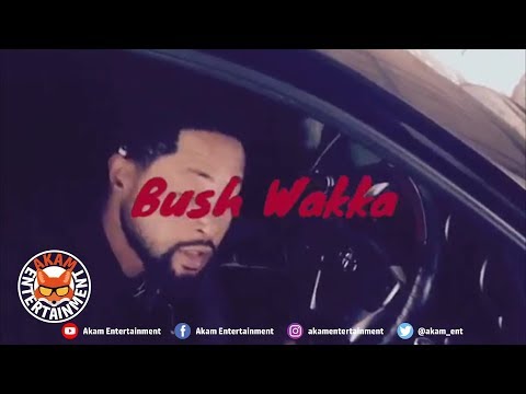 Bush Wakka - Feelings [Official Music Video]