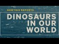 NOWTHIS: Dinosaurs in our World