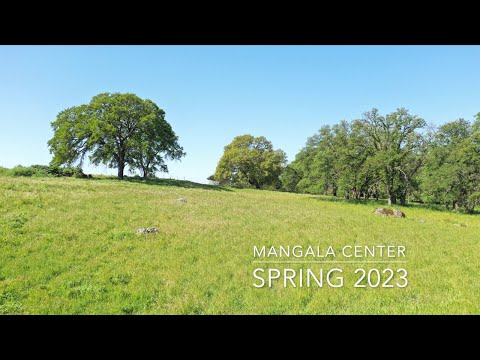 Spring 2023