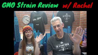 GMO Cannabis Strain Review with #MissMidas420x