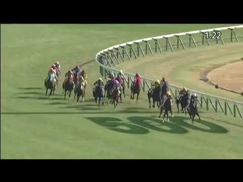 2017.11.26 2yo Newcomer (JPN) - Revealing