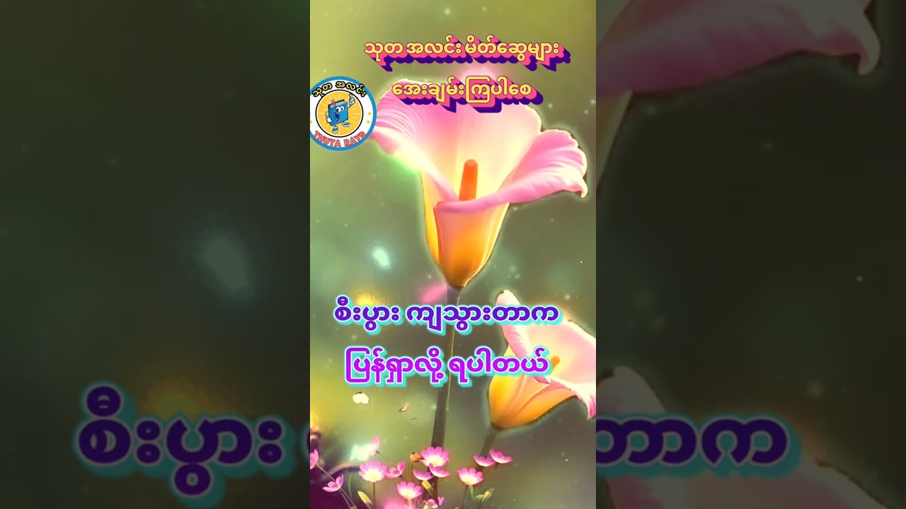 စိတ်ခွန်အားပေး။ ဘယ်တော့မှ အရှုံးမပေးပါနဲ့ ။ 😊😊😊 #သုတရသ #စာအုပ်စာပေ #ရသစာပေ #သုတအလင်း #thutaray