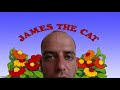 James The Cat Friends Corner Edition
