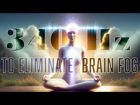 340 Hz Frequency to Eliminate Brain Fog (1 Hour) | The Spiritual Parrot