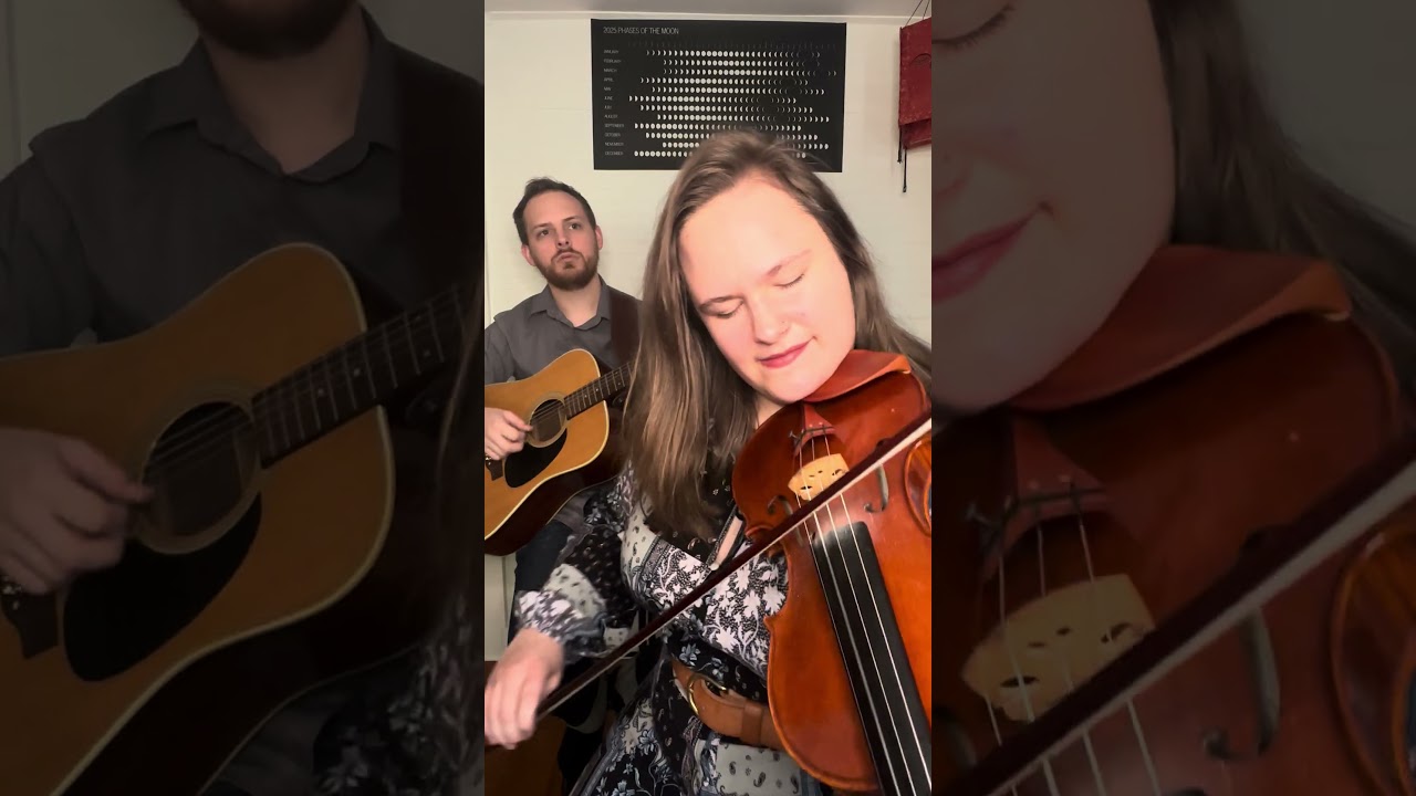 Promotional video thumbnail 1 for Violinist, Michele Z