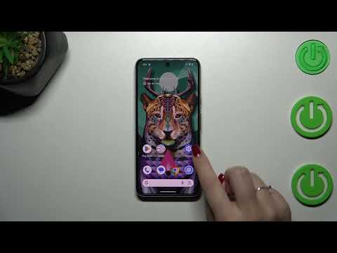 How to Clear Credentials in GOOGLE Pixel 8?