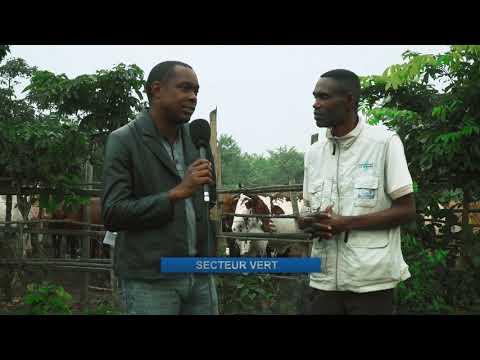 download lagu mp3 mp4 Secteur Vert, download lagu Secteur Vert gratis, unduh video klip Secteur Vert