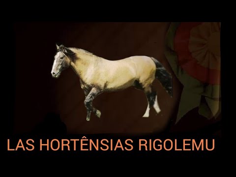 LAS HORTÊNCIAS RIGOLEMU