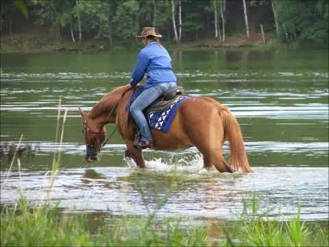 Michal Tučný - Já budu žít na věky (cover) PS - VB