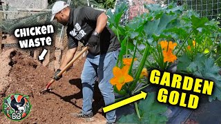 Compost Day & Backyard Coop Progress | Turning Chicken Waste into Garden Gold | Homestead Vlog