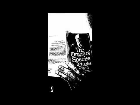 The Apologist - #KRS-One - Still Number One