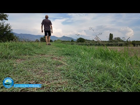 TRA LE SPONDE E LE PENDICI Cascina by walking - di Paolo Del Ry