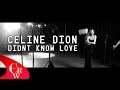 Céline Dion Didn't Know Love (FULL NEW VIDEO ...