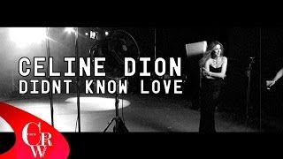 Céline Dion Didn&#39;t Know Love (FULL NEW VIDEO)