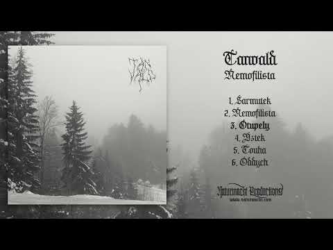 TANVALD - Nemofilista (Official Full Album - Atmospheric Black Metal)