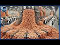How Hot Dog Sausages Are Made In Factories Incredible Industrial Manufacturing Process