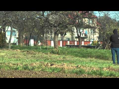 4 SJS Bo-Glass MAXI OES5 | Tworzydło / Waśko | Fiat 126p [MotoRecords.pl]