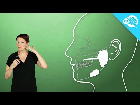 How Does Saliva Work?