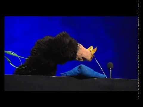 Maulwurfn  Schmettegage