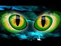 Hawkeye (Cover Alan Parsons Project) - Lasse Orbring