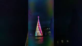 Christmas Tree 🎄in Southport UK