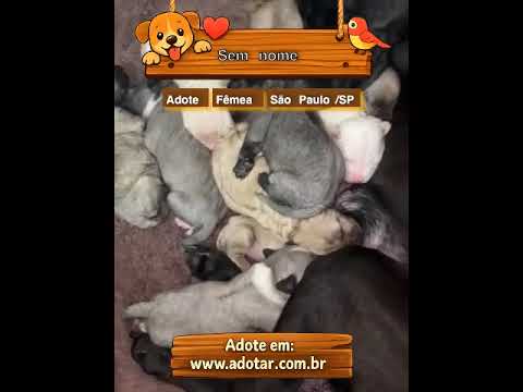 Vídeo de Sem nome 