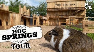 Guinea Pig Village Tour - Wild West Town - Hog Springs