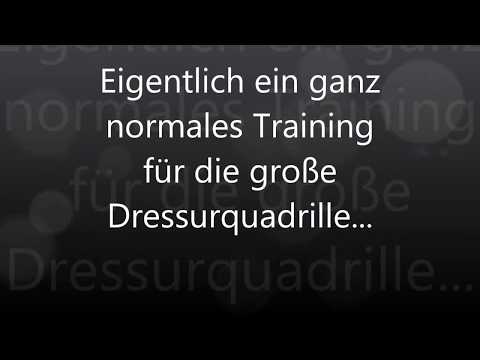 Die große Dressurquadrille :-)
