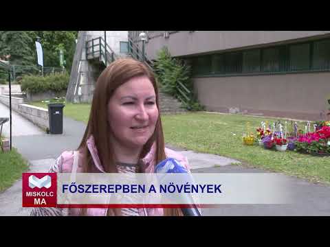 Videó előnézet