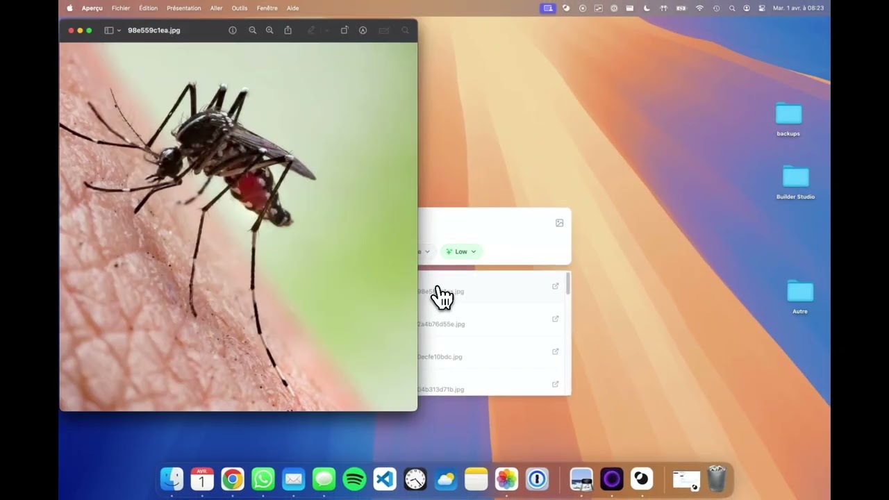 Simple visual and semantic search on MacOS with Fenn