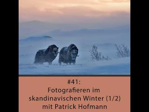 Fotografieren im skandinavischen Winter (1/2) - mit Patrick Hofmann