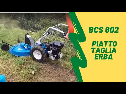 BCS 602 con PIATTO TAGLIA TRINCIA ERBA (prova 1)