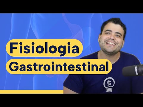 Estrutura e inervação: Fisiologia Gastrointestinal #fisiologia #medicina
