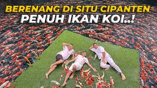 Download lagu PERTAMA KALI..! BERENANG BERSAMA RIBUAN IKAN KOI DI SITU CIPANTEN MAJALENGKA..! mp3 Download lagu PERTAMA KALI..! BERENANG BERSAMA RIBUAN IKAN KOI DI SITU CIPANTEN MAJALENGKA..! mp3