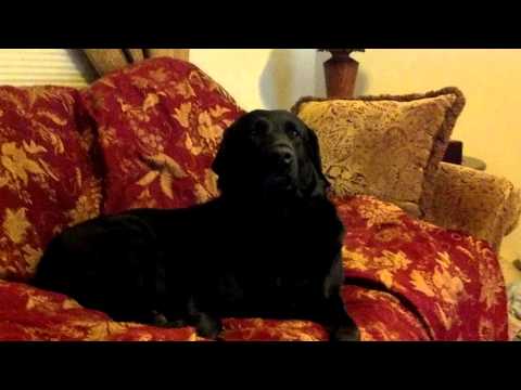 Tarren wakes up from dreaming