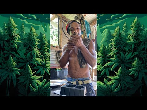 FYA BRYTE - GANJA FREESTYLE ????????????