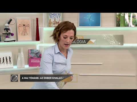 Érettségi 2018 - Biológia: A kiválasztás