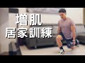 臀腿居家訓練 💪🏼|只需要啞鈴|在家增肌