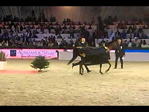 Pianissima Platinum Medal Paris 2013