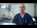 Dr Snip Overview