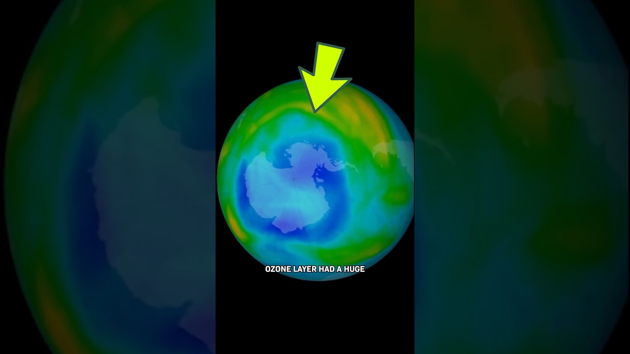 What Really Happened to the Ozone Layer