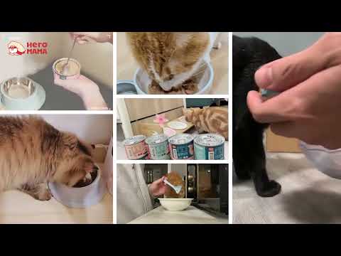 HeroMama 溯源鮮肉/海陸派對 主食罐 80g/165g