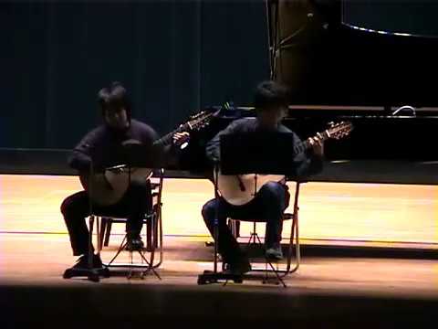 Classical guitar duo 
