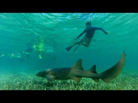 Snorkeling! Gopro Hero 3 Silver [UNDERWATER]