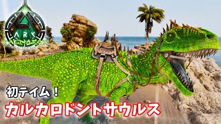 #36 脅えながらカルカロドントサウルステイムに挑む！【ARK Survival Ascended】【ASA：Ragnarok】【PS5】